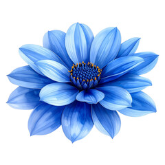 Blue flower isolated on white background, png with transparency 