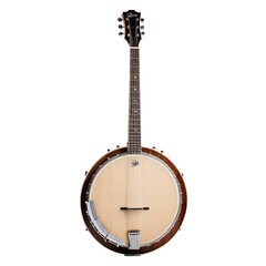 Acoustic stringed instrument with circular body and long neck