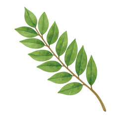 watercolor-star-gooseberry-branch