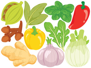 Spice and Herb Clip Art Set Cooking Ingredients Ginger Garlic Chili Fennel Mint Vector Illustration Isolated on White Background