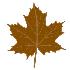 Cinnamon brown maple leaf vector png illustration with autumn theme