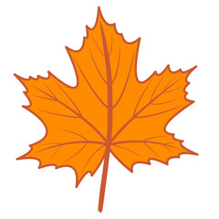 Pizazz orange maple leaf vector png illustration with autumn theme