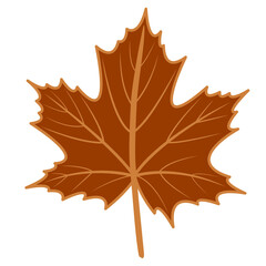 Brown maple leaf vector png illustration with autumn theme