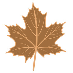 Obraz premium Cape Palliser brown maple leaf vector illustration with autumn theme