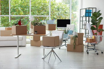 Many moving boxes, houseplants and furniture in new office