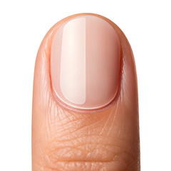 Close up of a human thumb with a pale white lunula on the nail isolated on a white background