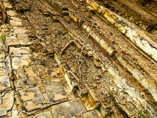 The formation of sedimentary rock layers in nature, formed from the accumulation of sand, mud, gravel and organic materials that settle and harden on the earth's surface.