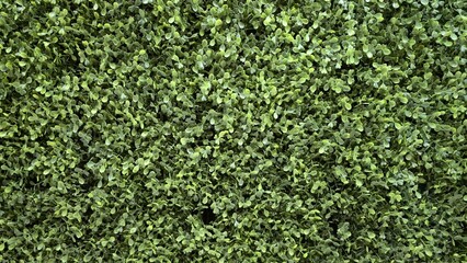 Close-up of dense green artificial leaves showing realistic texture and layered detail. Perfect for...