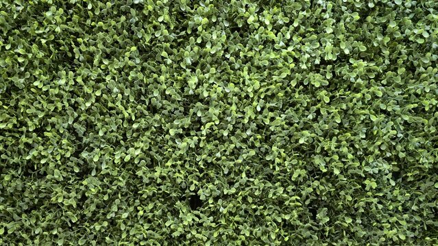 Close-up of dense green artificial leaves showing realistic texture and layered detail. Perfect for background, interior decoration, or nature-inspired graphic design.