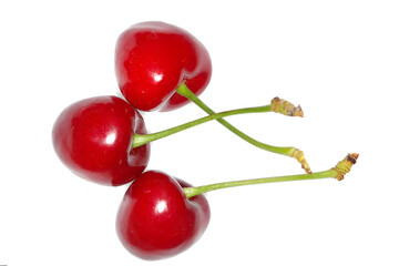 Ripe cherries isolated with water drops on a white background. Cherry red