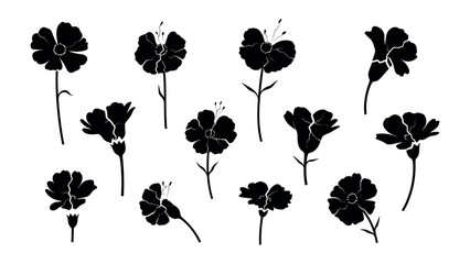 Silhouette Carnations: This image presents an elegant collection of black carnation silhouettes, capturing the flower's intricate forms in minimalist detail. Perfect for design projects.