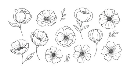 Floral Elegance: Hand-drawn illustrations of delicate flowers grace the scene, showcasing intricate details and graceful lines in a minimalist display.