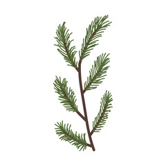 Green pine branch with needle leaves, ideal for crafting and decorating, displayed against a white background