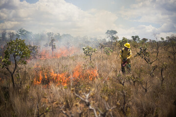 Integrated fire management or prescribed burning in the Brazilian Cerrado. Burning vegetation to protect against fire. Firefighters managing fire in a natural park. © Rafael