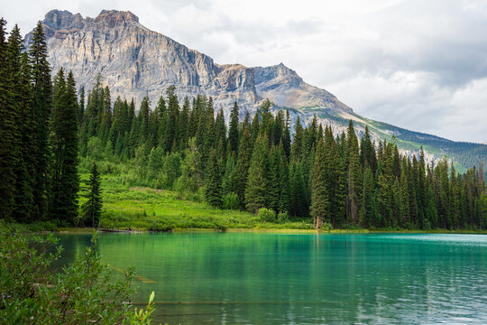 Scenic mountain lake surrounded by evergreen trees and a rocky mountain.