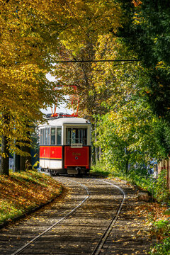 Vintage red tram seen from behind on a tree-lined track in Prague during autumn, surrounded by golden leaves and warm sunlight, perfect travel and seasonal image.