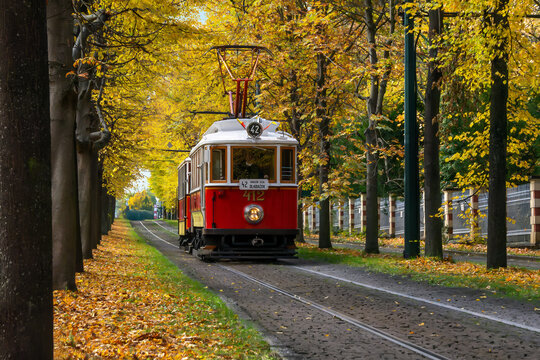 Vintage red tram in Prague moving through autumn park with yellow trees and fallen leaves, perfect travel and seasonal transportation concept image.