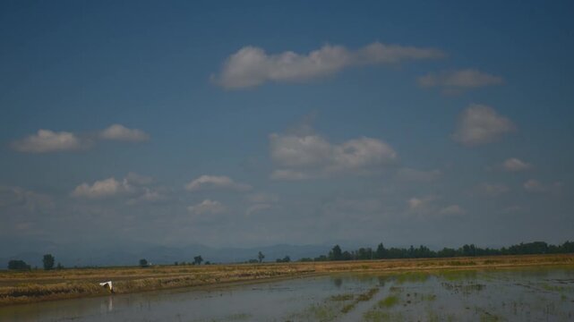 nubi che corrono veloci nel cielo