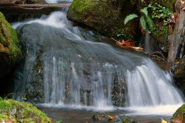 Mountain stream flowing over large rock