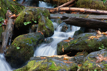 Mountain stream flowing over moss covered rocks