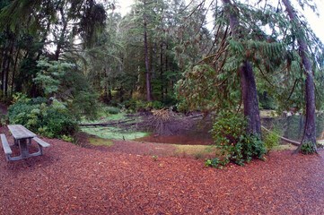 Picnic area at local lake