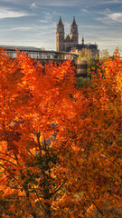 Magdeburger Dom und MDR Gebäude mit Herbstlaub