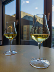 Two glasses of white wine on a round table near large window, city buildings reflecting in glass, cozy indoor atmosphere, soft daylight, close-up, modern urban lifestyle