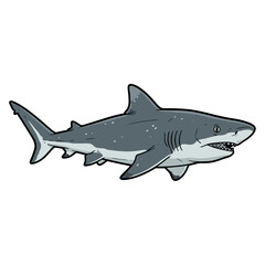 Shark Design