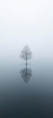Lone Tree Reflected on Foggy Lake