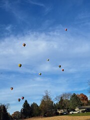 Hot Air Baloons