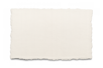 Textured blank ripped paper piece with uneven rough edges on transparent background, offering copy space