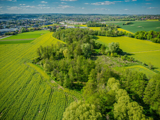 Pola rzepaku pod Krakowem, zdjęcie z powietrza (dron)