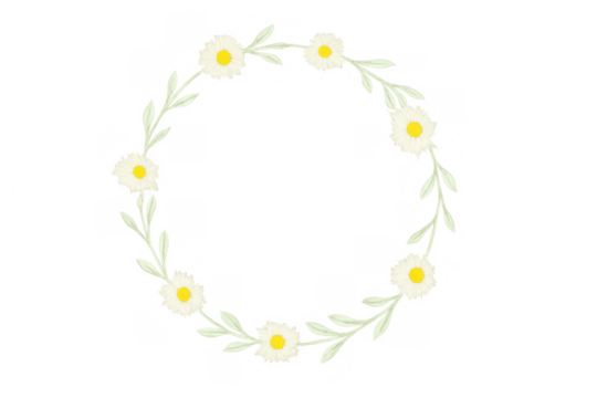 Hand drawing daisy flower wreath with green leaves, round floral frame, springtime nature element