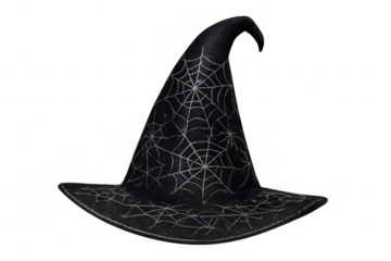 Black witch hat decorated with spiderweb design