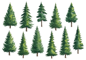 Obraz premium Collection of realistic evergreen fir trees with lush green needles isolated on transparent background
