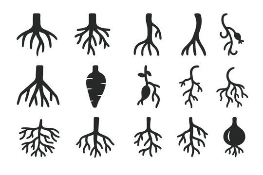 Root Type Icons. Solid style icons of Root Types: taproot, fibrous root, adventitious root, aerial root, buttress root, prop root,