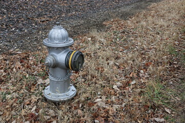 Gray Fire Hydrant Among Autumn Foxtails and Grass