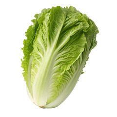  lettuce isolated on transparent white background full depth of field clipping path