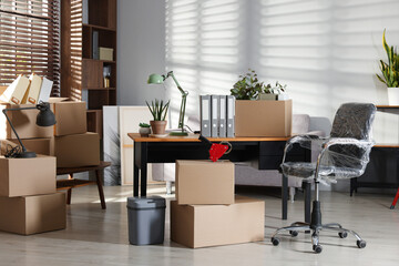 Many moving boxes, houseplants and furniture in new office
