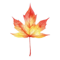 Watercolor christmas garland with red berries and pine needles