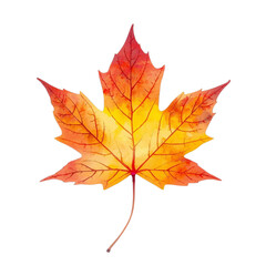 Fototapeta premium Watercolor christmas wreath frame with pine needles and red berries