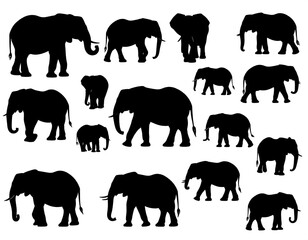 A collection of multiple silhouettes of elephants, of varying sizes and positions