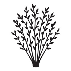Thyme Herb – Botanical Silhouette for Eco Packaging