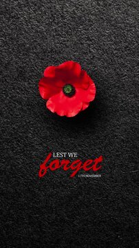 Lest We Forget 11th November inscription with Poppy flower on black textured background. Decorative flower for Remembrance Day. Memorial Day. Veterans day. Vertical video for social media and stories.