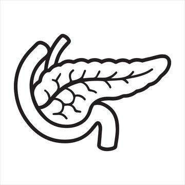 Minimal vector icon of a pancreas