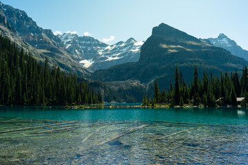 A serene alpine lake reflects snow-capped mountains and towering pine trees.