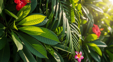 Fototapeta premium Lush tropical foliage with vibrant green leaves and colorful flowers in a sunlit garden setting