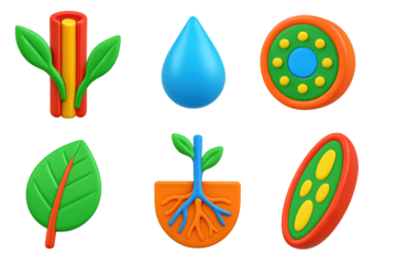 3D Xylem Icon Set. 3D icon set of xylem function: plant vein, water droplet, stem cross-section, leaf detail, root uptake,
