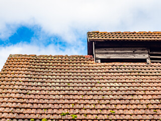 Moos auf einem Dach einer Scheune