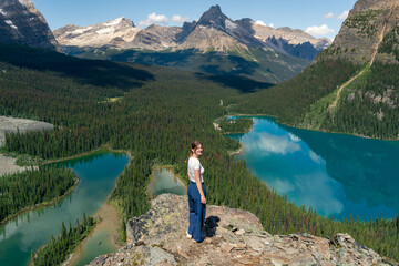 Naklejka premium A serene view with mountains and trees, a woman enjoys a scenic overlook.